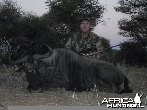 Blue Wildebeest hunted with Ozondjahe Hunting Safaris in Namibia