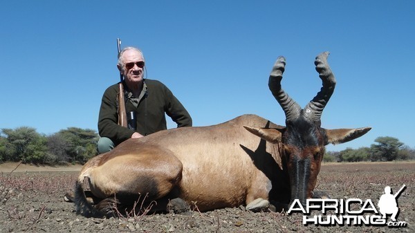 Red Hartebeest hunted with Ozondjahe Hunting Safaris in Namibia