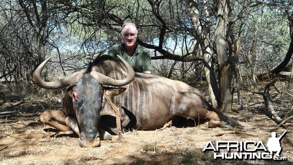 Blue Wildebeest hunted with Ozondjahe Hunting Safaris in Namibia