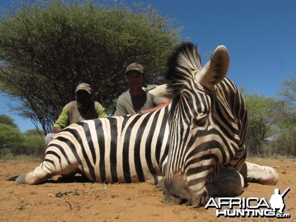 Burchell's Zebra hunted with Ozondjahe Hunting Safaris in Namibia