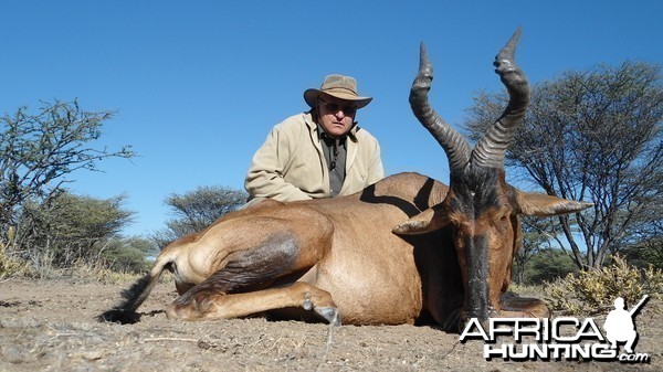 Red Hartebeest hunted with Ozondjahe Hunting Safaris in Namibia