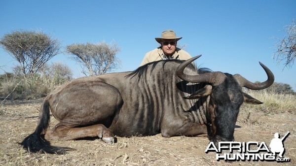 Blue Wildebeest hunted with Ozondjahe Hunting Safaris in Namibia