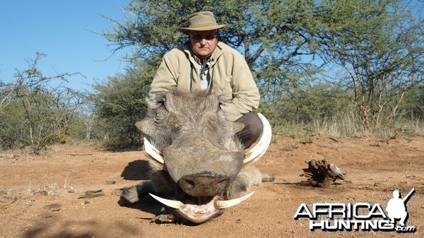 Warthog hunted with Ozondjahe Hunting Safaris in Namibia