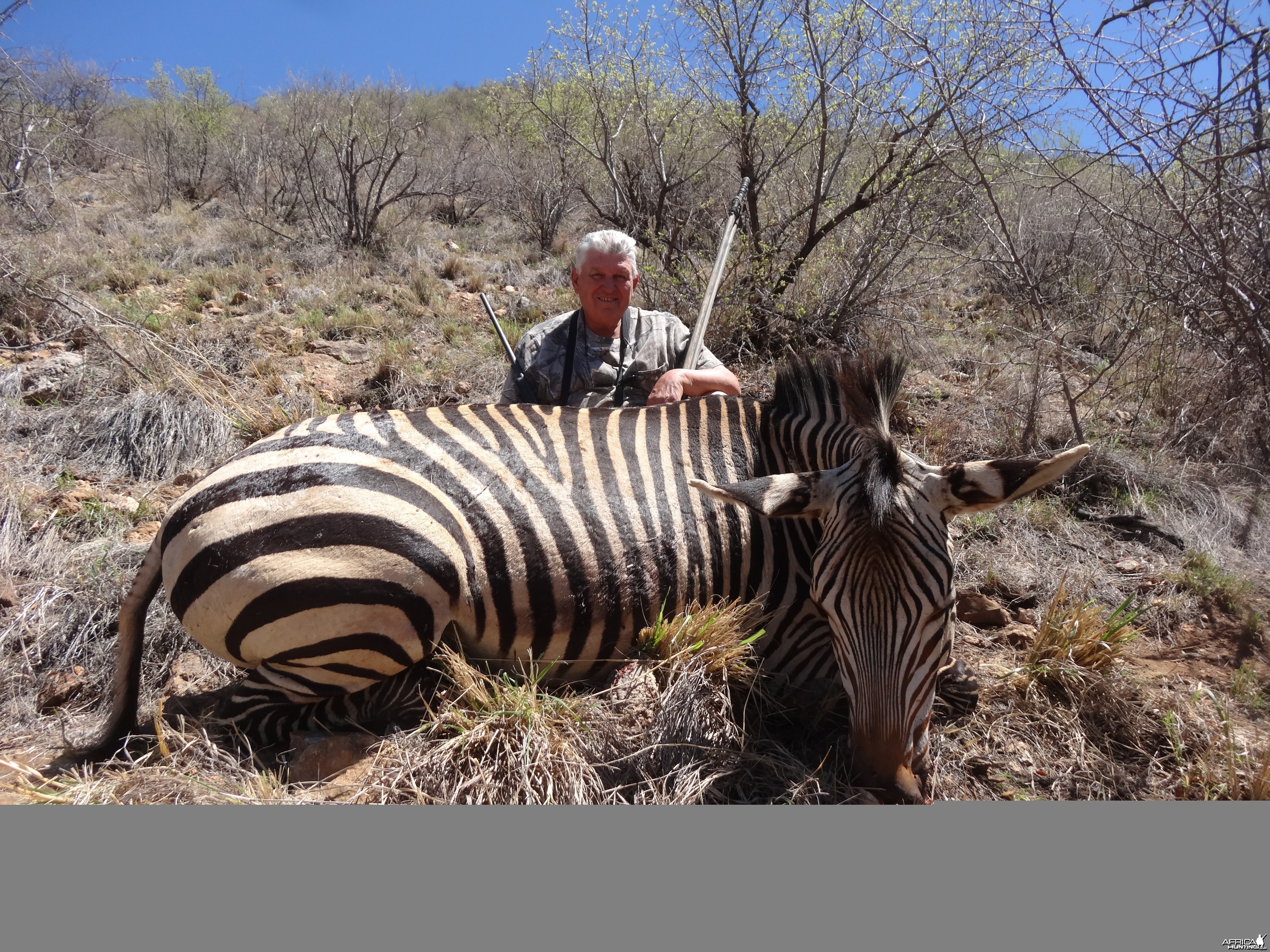 Hartmann's Zebra hunted with Ozondjahe Hunting Safaris in Namibia