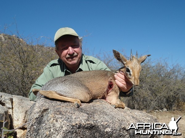 Damara Dik-Dik hunted with Ozondjahe Hunting Safaris in Namibia
