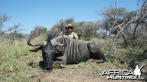 Blue Wildebeest hunted with Ozondjahe Hunting Safaris in Namibia