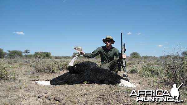 Ostrich hunted with Ozondjahe Hunting Safaris in Namibia