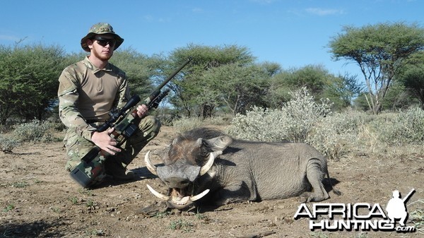 Warthog hunted with Ozondjahe Hunting Safaris in Namibia