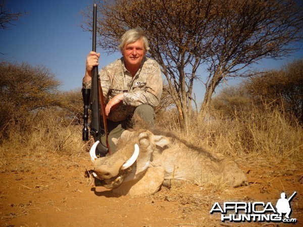 Warthog hunted with Ozondjahe Hunting Safaris in Namibia