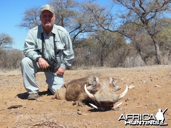 Warthog hunted with Ozondjahe Hunting Safaris in Namibia