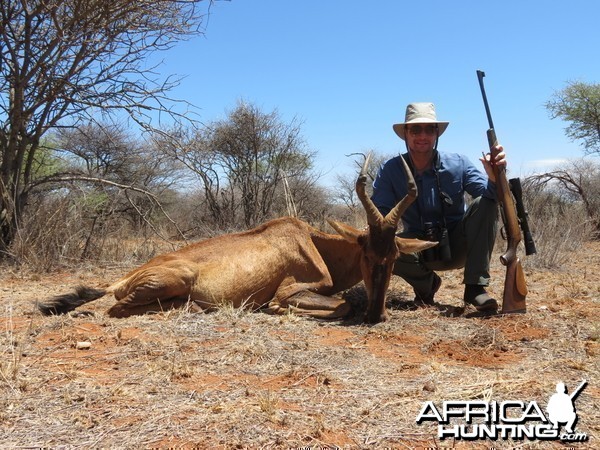 Red Hartebeest hunted with Ozondjahe Hunting Safaris in Namibia