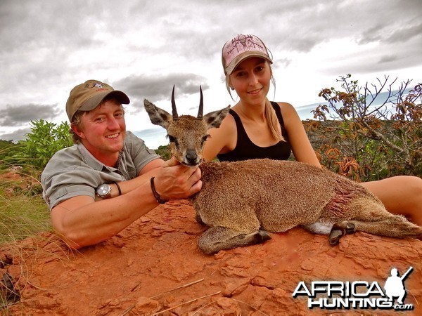 Klipspringer ~ Soutpansberg , RSA