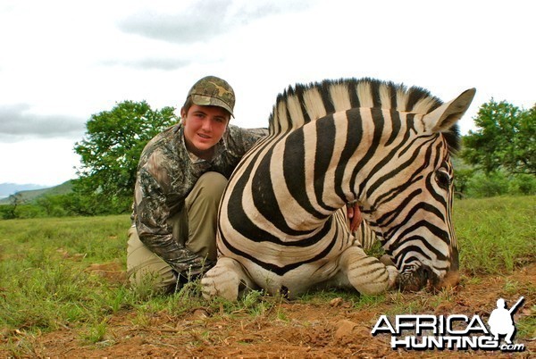 Zebra ~ East Cape, RSA