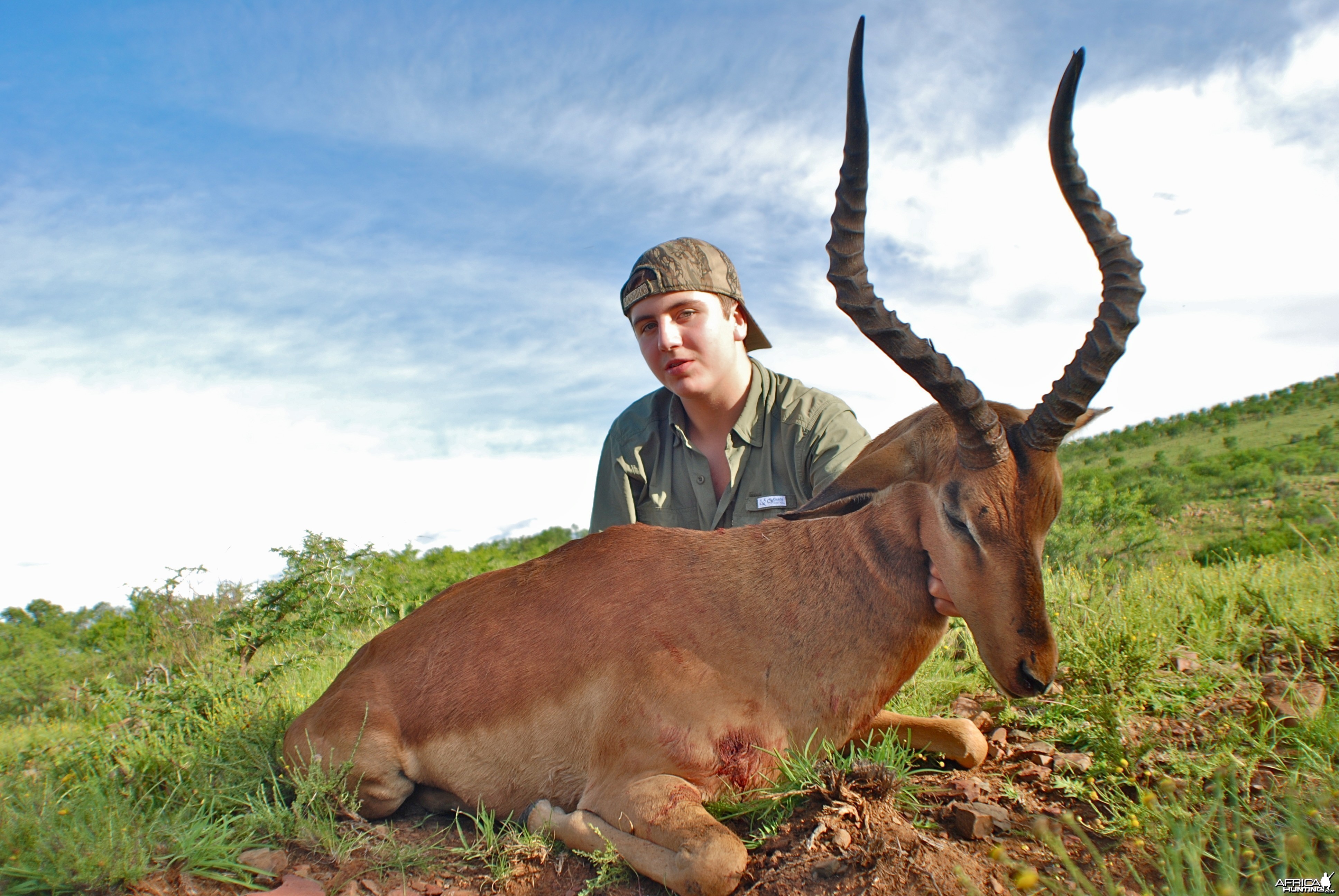 Impala ~ East Cape, RSA