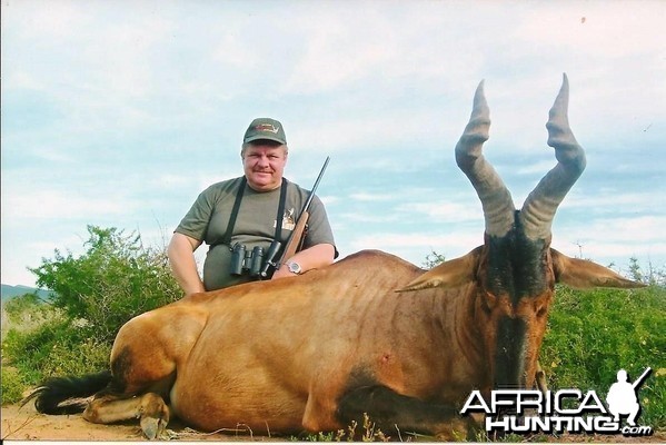 Red Hartebeest - PH Lammie