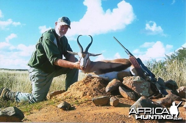 Common Springbuck