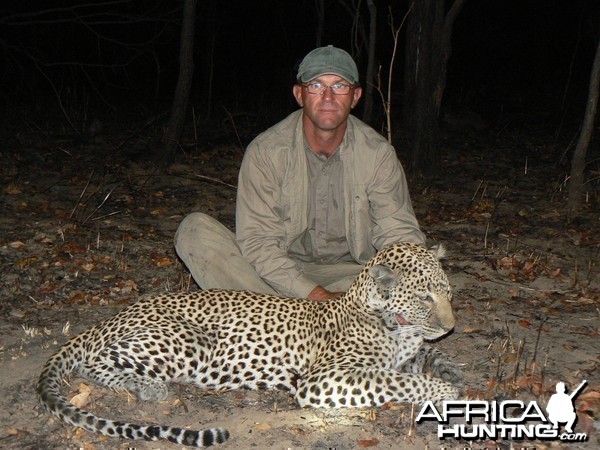 Very old leopard - Hunt Tanzania