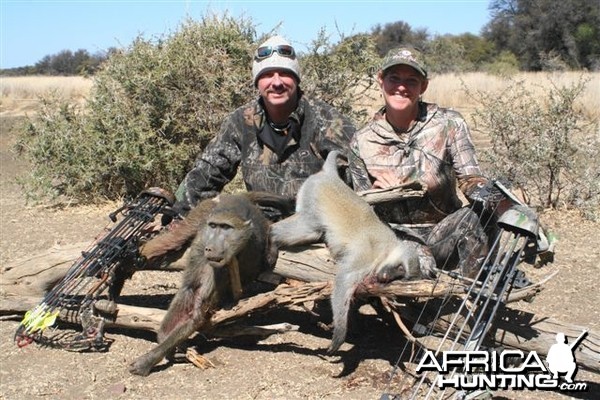 Baboon &amp; vervet Monkey Limcroma Safaris 2013