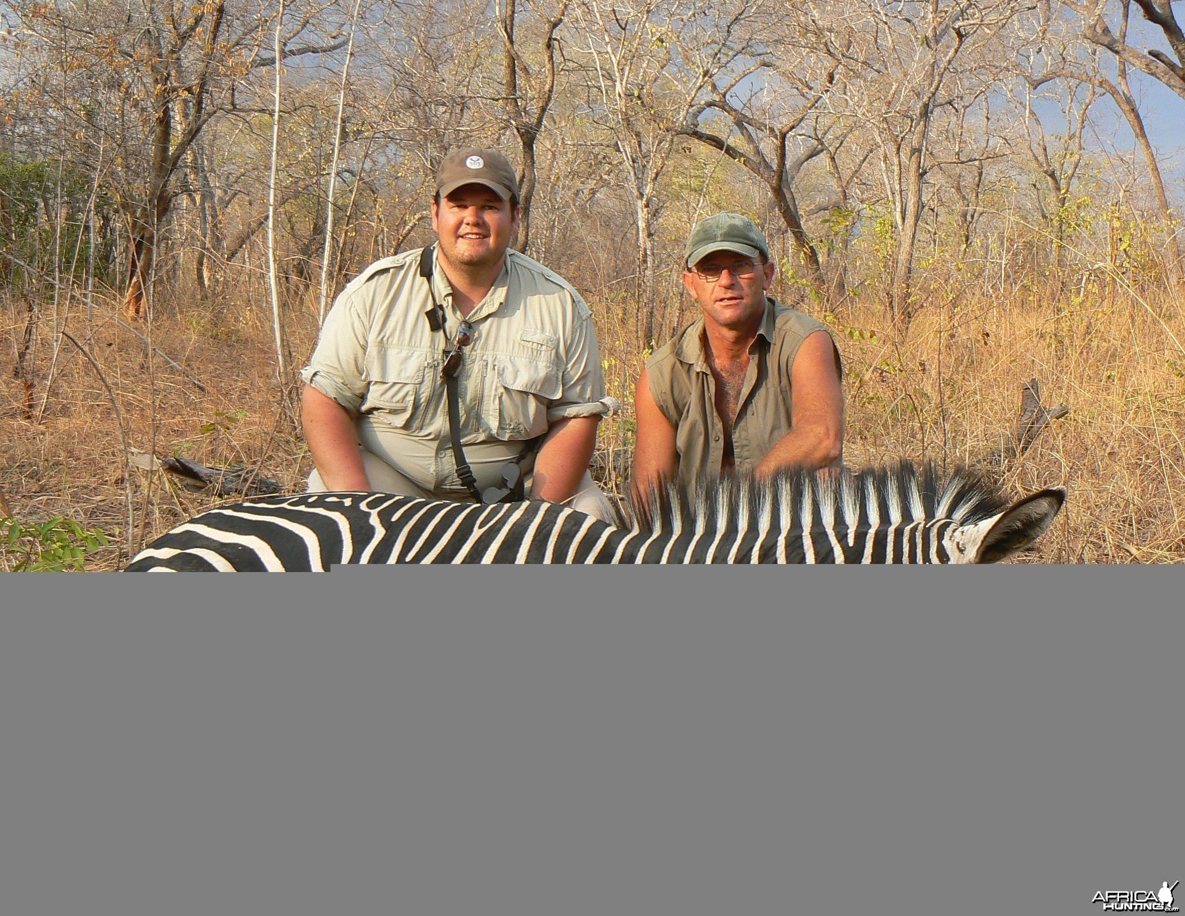 Zebra from Tanzania