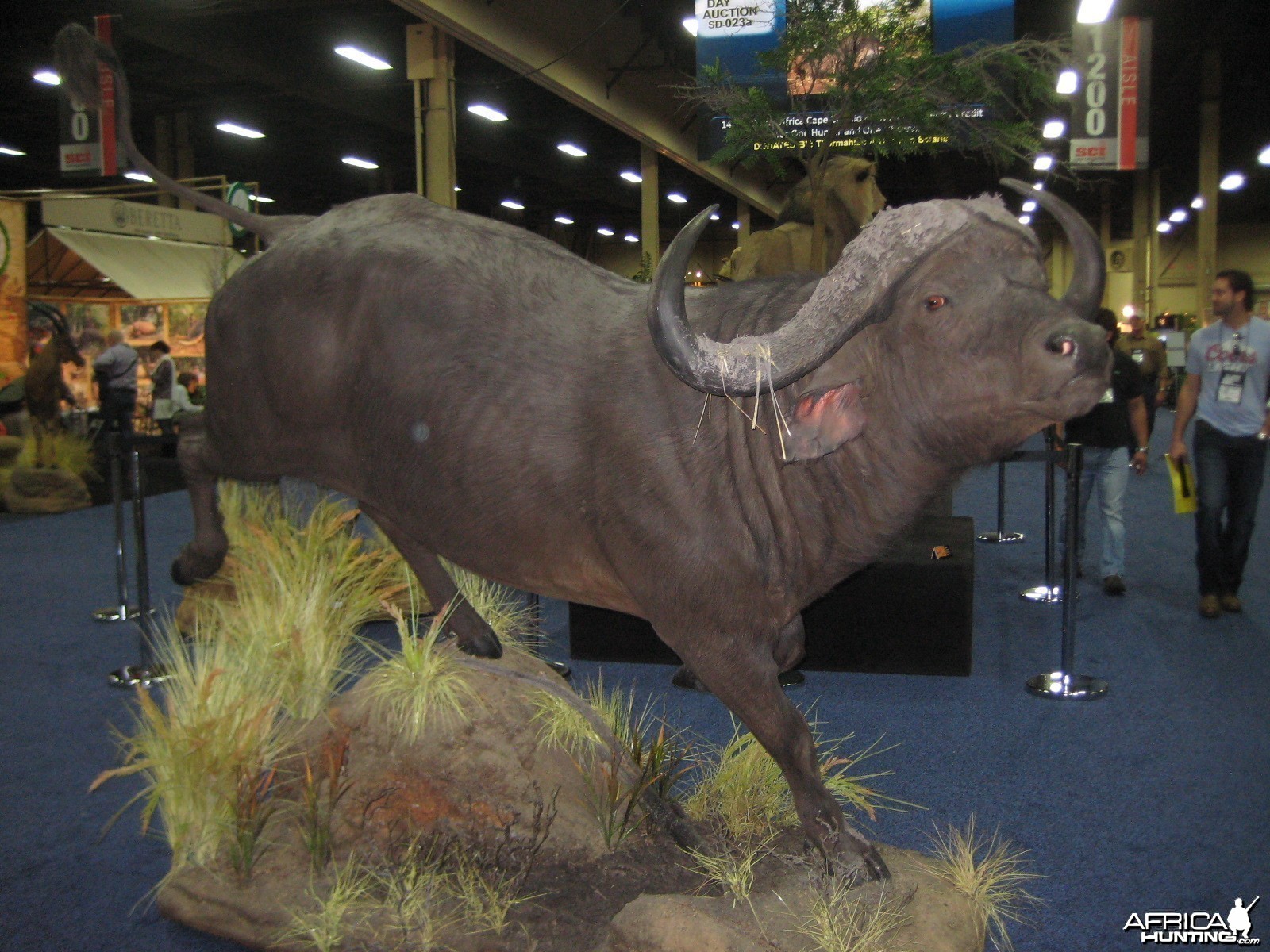 Taxidermy at Safari Club International Convention