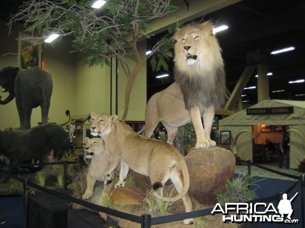 Taxidermy at Safari Club International Convention