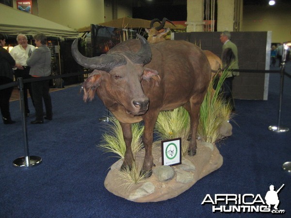 Taxidermy at Safari Club International Convention
