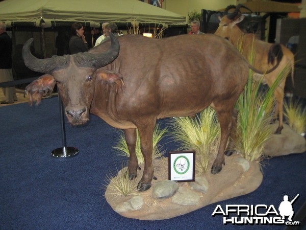 Taxidermy at Safari Club International Convention