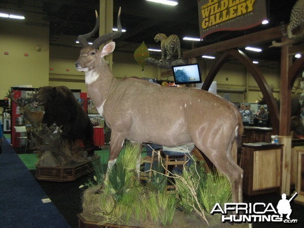 Taxidermy at Safari Club International Convention