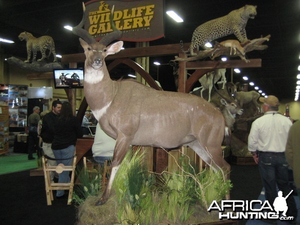 Taxidermy at Safari Club International Convention