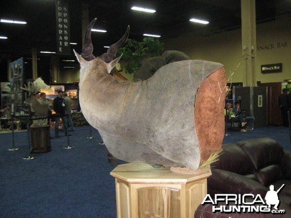 Taxidermy at Safari Club International Convention