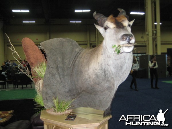 Taxidermy at Safari Club International Convention