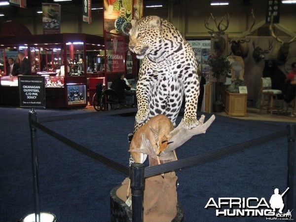 Taxidermy at Safari Club International Convention