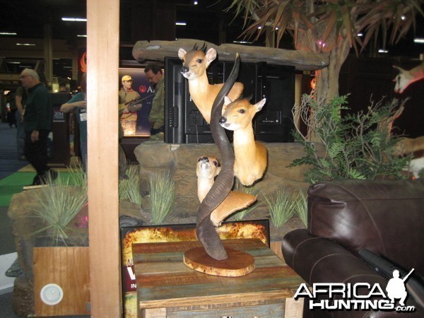 Taxidermy at Safari Club International Convention