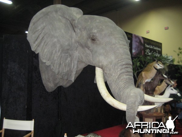 Taxidermy at Safari Club International Convention