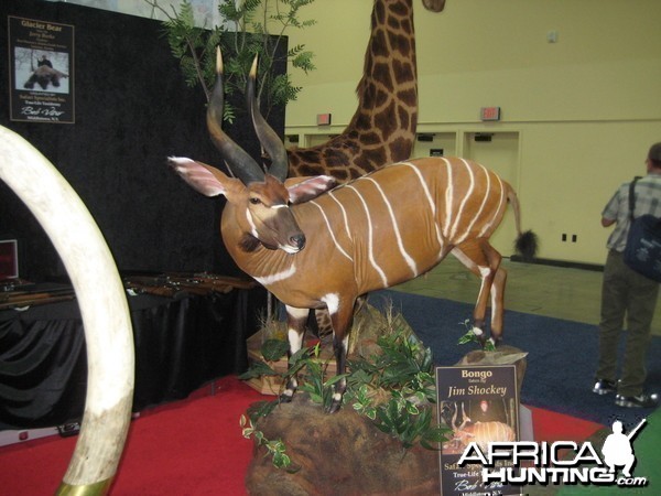 Taxidermy at Safari Club International Convention