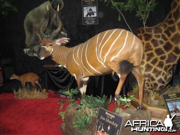 Taxidermy at Safari Club International Convention