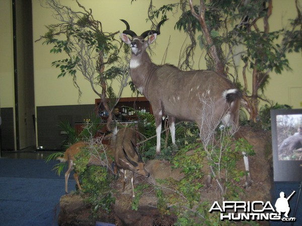 Taxidermy at Safari Club International Convention