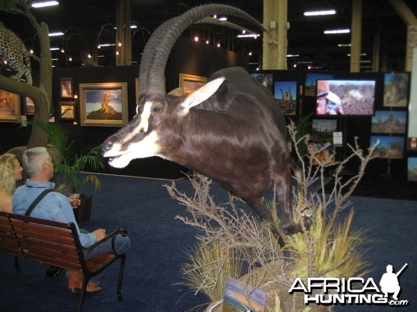 Taxidermy at Safari Club International Convention