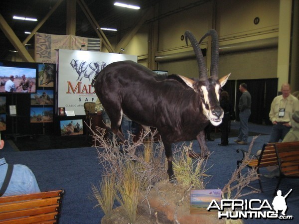 Taxidermy at Safari Club International Convention