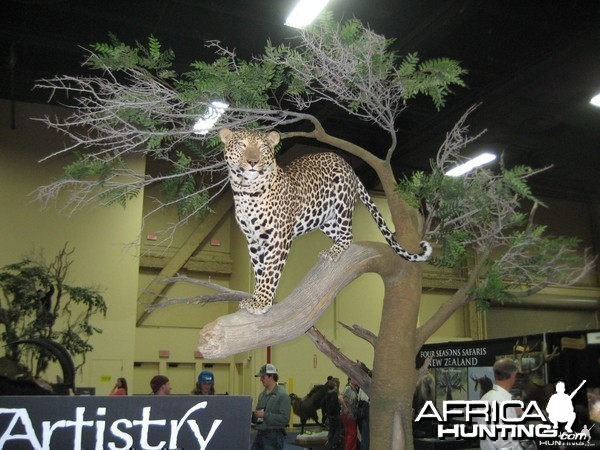 Taxidermy at Safari Club International Convention