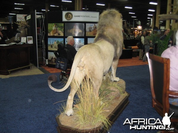 Taxidermy at Safari Club International Convention