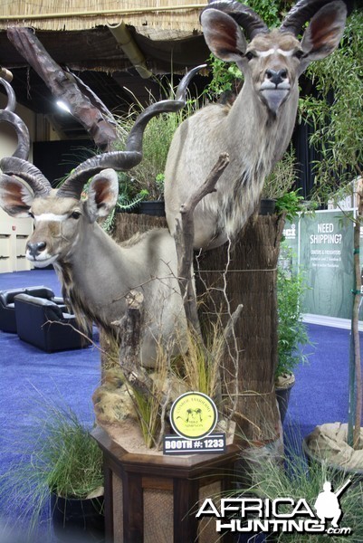 SCI Convention 2014 Taxidermy Mounts