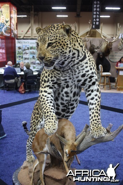 SCI Convention 2014 Taxidermy Mounts