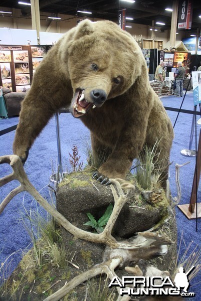 SCI Convention 2014 Taxidermy Mounts