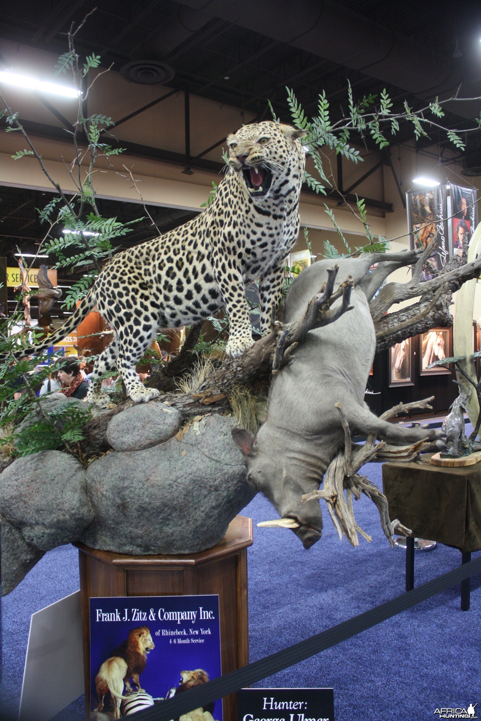 SCI Convention 2014 Taxidermy Mounts