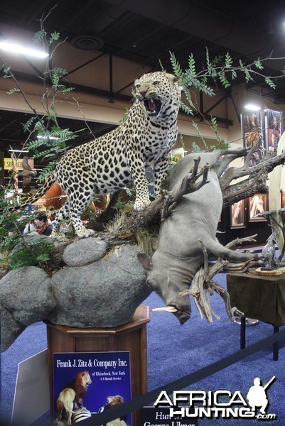 SCI Convention 2014 Taxidermy Mounts