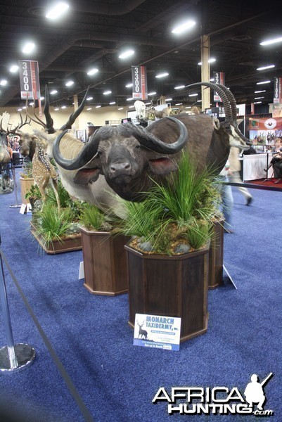 SCI Convention 2014 Taxidermy Mounts