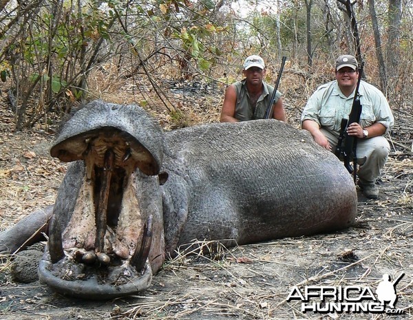 28&quot; hippo.... all shot on land, good sport!!