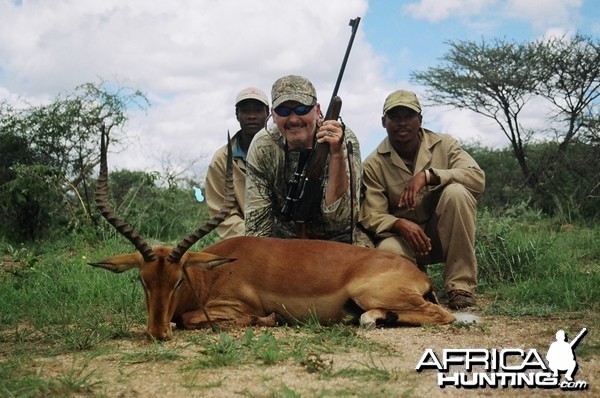 Impala/Namibia