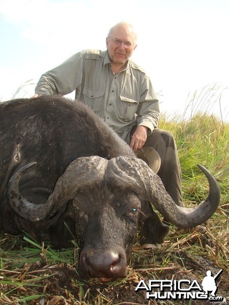 A classic buffalo bull of 42 inches.